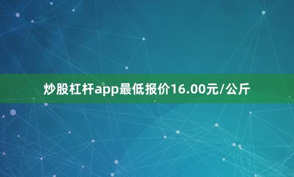 炒股杠杆app最低报价16.00元/公斤