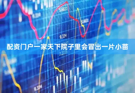 配资门户一家天下院子里会冒出一片小苗