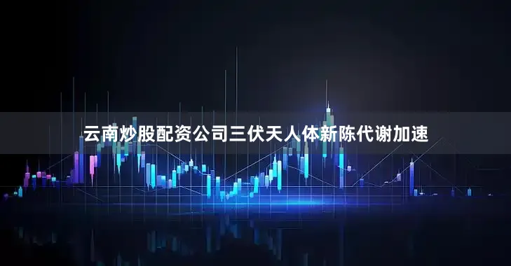 云南炒股配资公司三伏天人体新陈代谢加速